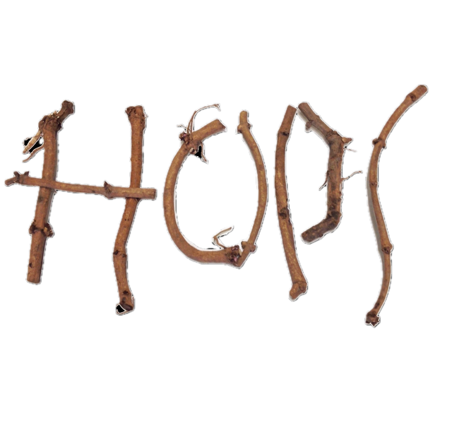 Hop Rhizomes