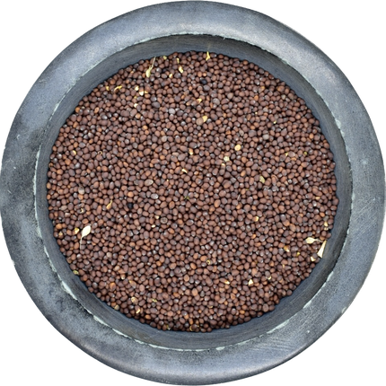 Make your own fermented mustard! Brown mustard seeds provide more spiciness and tanginess than yellow mustard seeds.