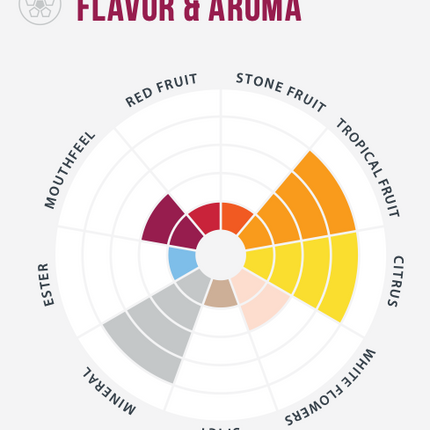 Lalvin QA23 Wine Yeast