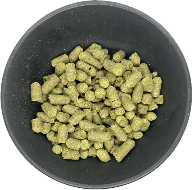 Styrian Golding (Celeia) Pellet Hops