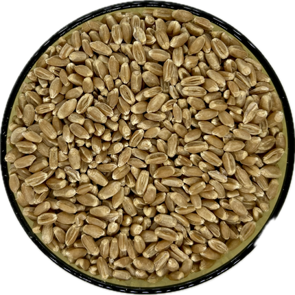 Organic Wheat Berries