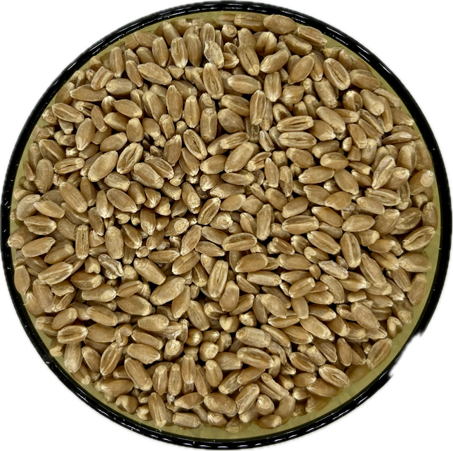 Organic Wheat Berries