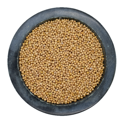 Yellow Mustard Seed