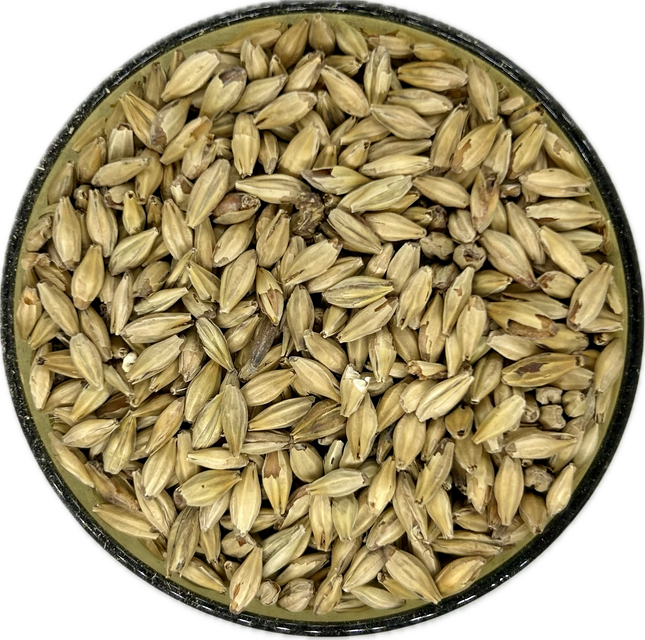 Gambrinus Honey Malt