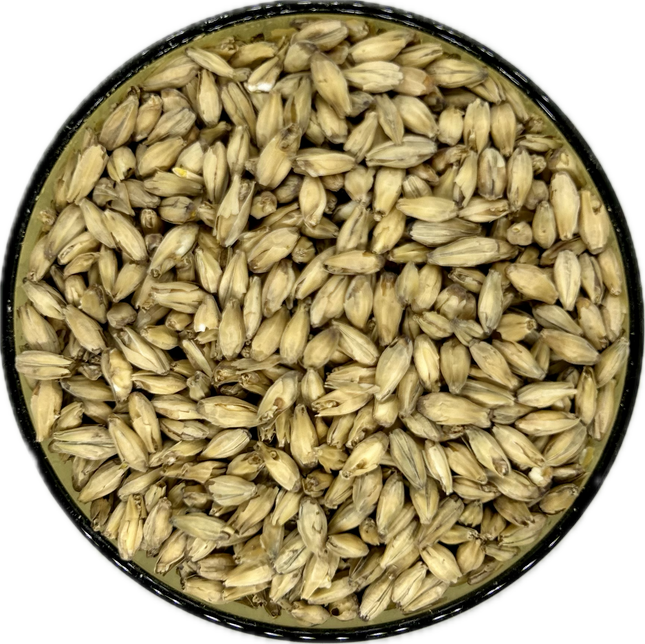 Rahr Standard 6-Row Malt