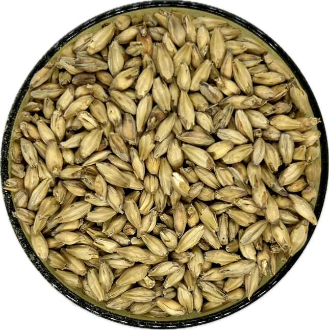 Rahr Pale Ale Malt