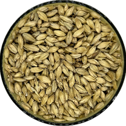 Rahr Premium Pilsner Malt