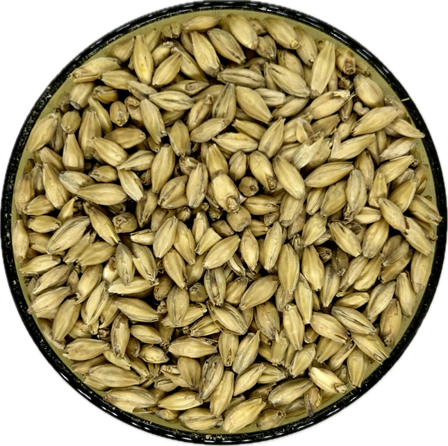 Rahr Standard 2-Row Malt