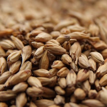 Weyermann® CaraAmber® Malt