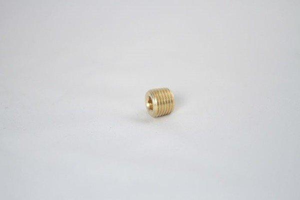 1/4'' NPT Plug