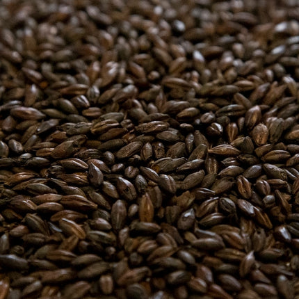 Dingemans De-Bittered Black Malt