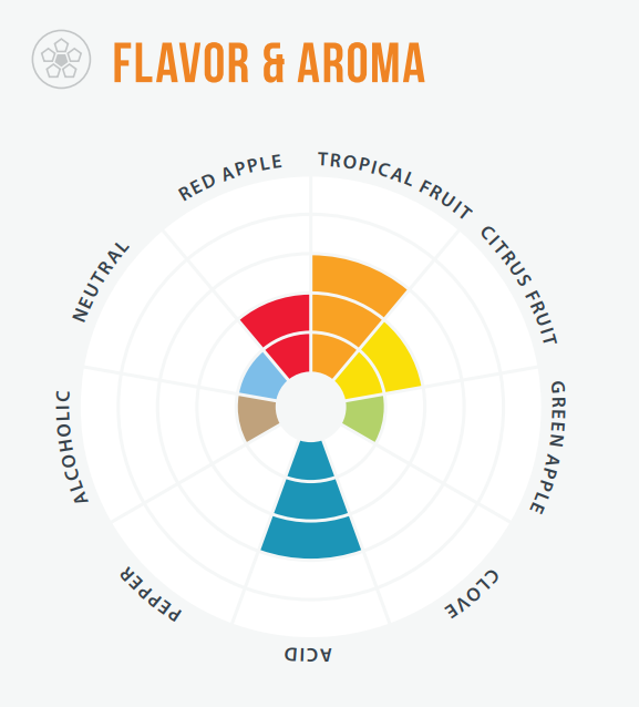 Wildbrew Philly Sour yeast flavor aroma wheel