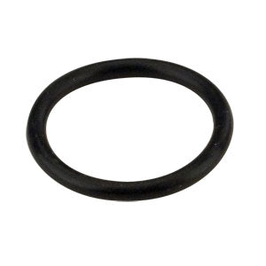 Piston Rod O-Ring