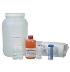 Chromatography Test Kit -Vertical